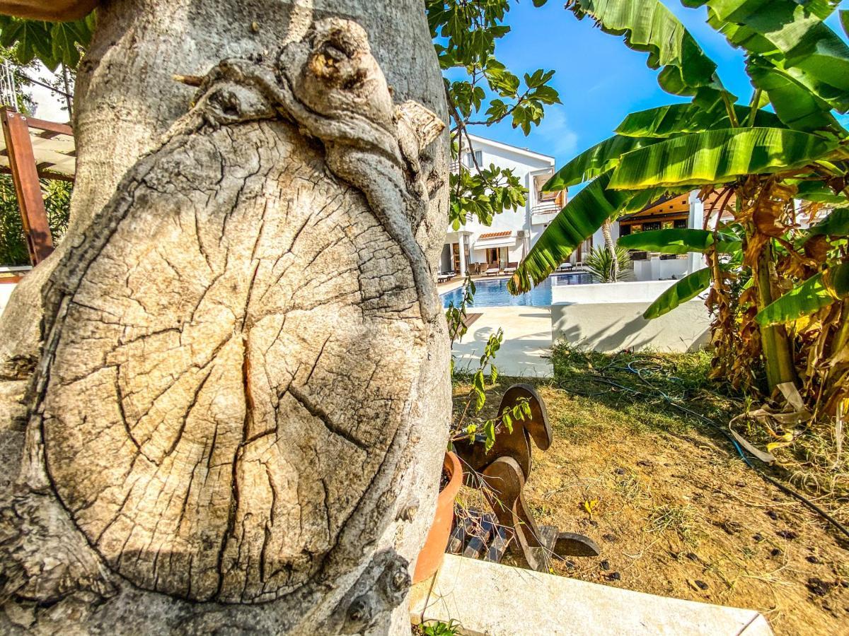 Apartments Secret Garden Ulcinj Exterior photo